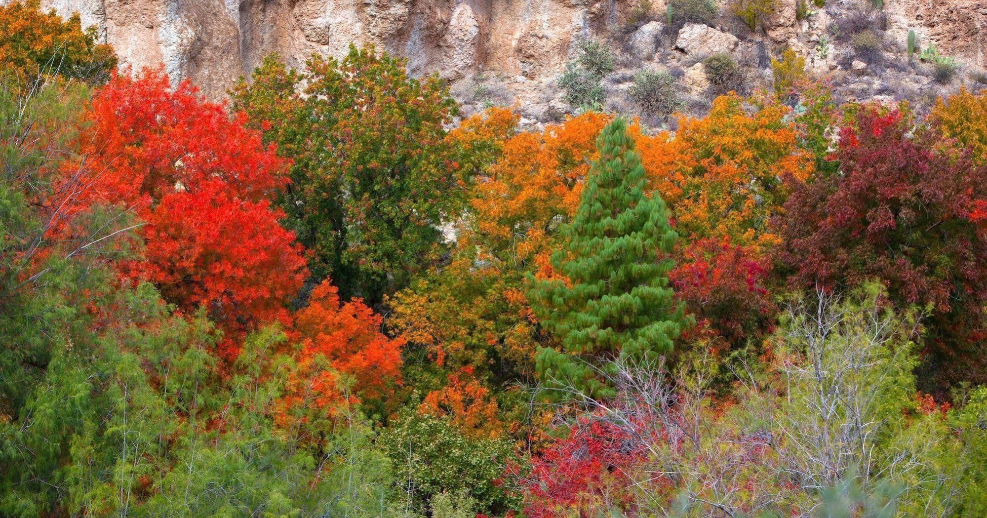 Holiday Inn Express Sedona - Oak Creek By Ihg Esterno foto